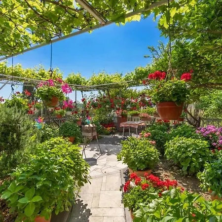 Gasthof And With A Swimming Pool Mlini, Dubrovnik - 23441 3*